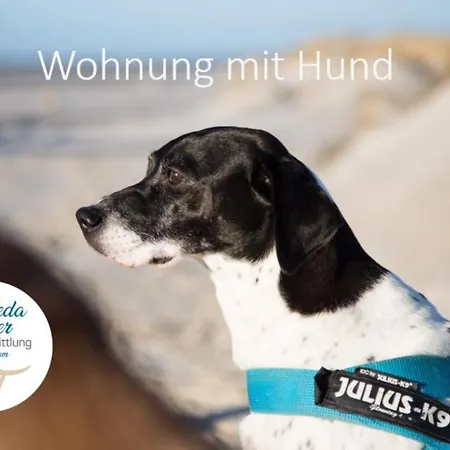 Haus Watthus - Paradies 네벨