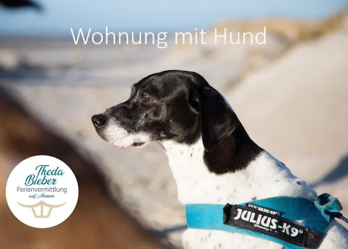 Haus Watthus - Paradies Nebel